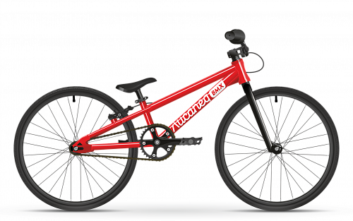 Лисапед 20 BMX рейс мини